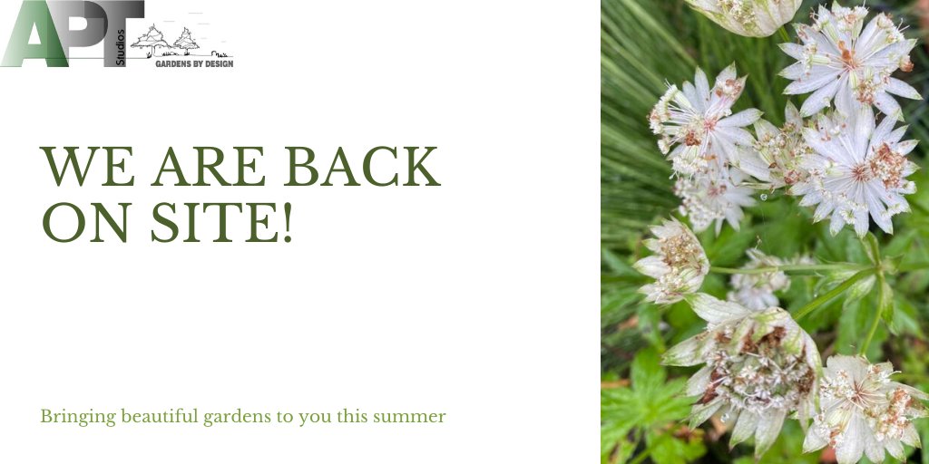 aptstudios's tweet photo. We've been designing in the office since lockdown, but its great that our team are now back on site building to bring your gardens to life.  #aptstudios #gardendesign #landscapearchitecture #designandbuild #summertime https://t.co/GBiqX2AFXO