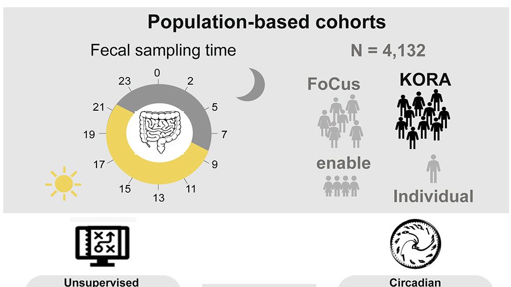 Arrhythmic Gut #Microbiome Signatures Predict Risk of Type 2 #Diabetes: New work shows specific #gut #microbes exhibit rhythmic oscillations &amp; IDs taxa w/disrupted rhythmicity in T2D patients. This arrhythmic signature aided in classifying &amp; predicting T2D cell.com/cell-host-micr…
