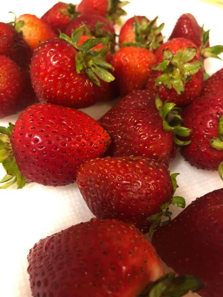 DelectableTemp2's tweet photo. 🚨NEW TEMPTATION🚨 

Introducing our new temptation that changes the game for PB&amp;J! 
With #Strawberry #Grape and #Peach Compote all #MadeFromScratch ! 

Which will you pick? #DelectableTemptations https://t.co/ajyr5cHbW4