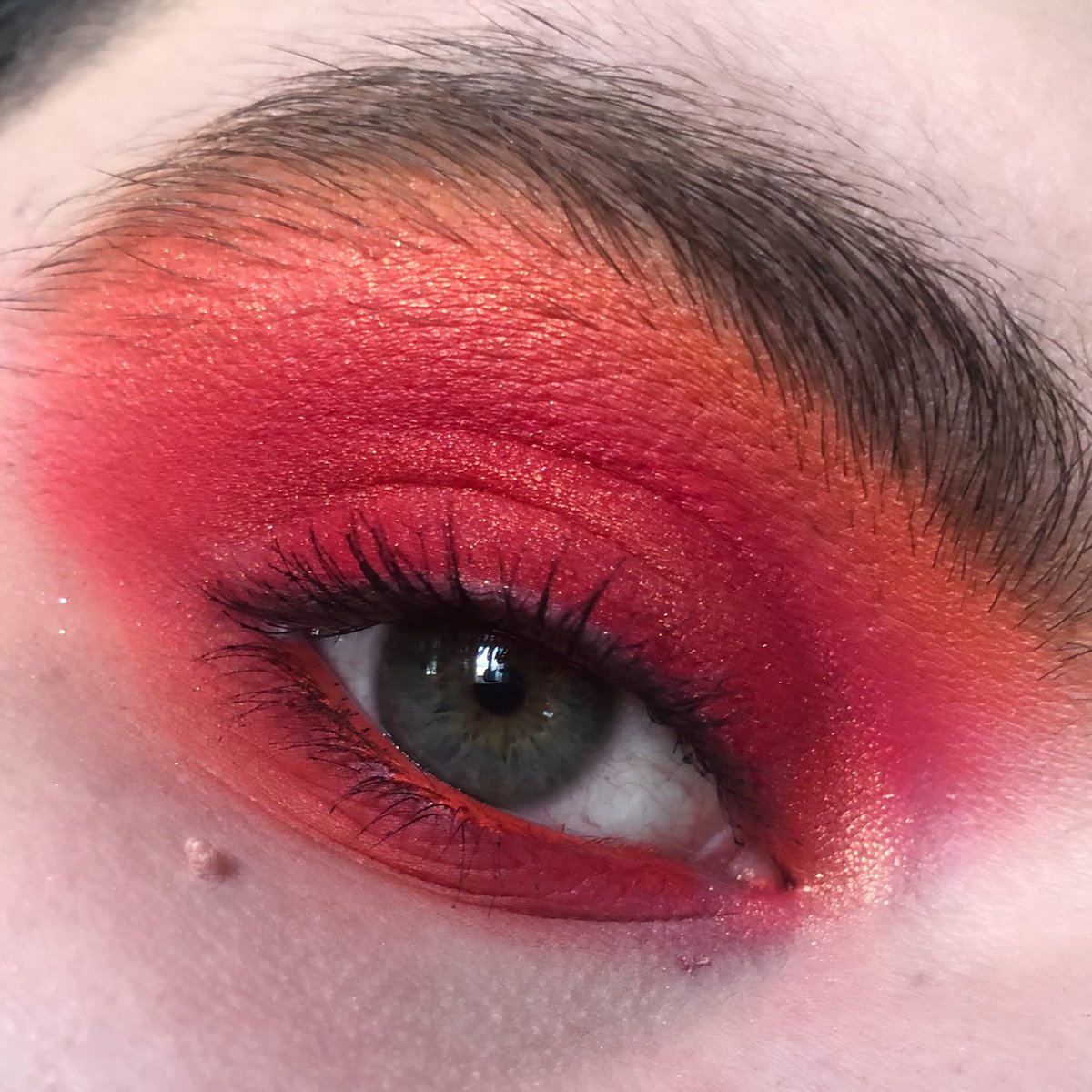 mickamrl's tweet image. red mood 🔪🩸 / day 2/100 of #100daysofmakeupchallenge

@ABHcosmetics @norvina pro pigment palette volume 1

ig : mickupytb
instagram.com/mickupytb