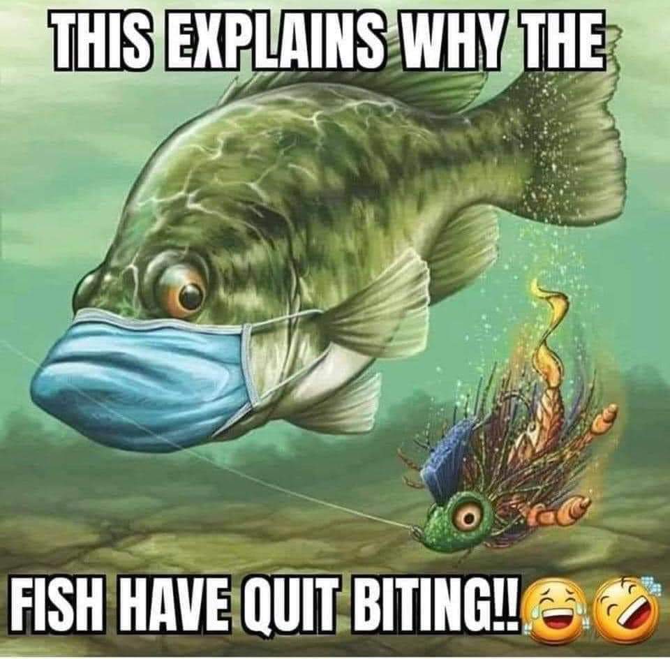 #missingfishing, #hatemask, #readyfornov4th2020