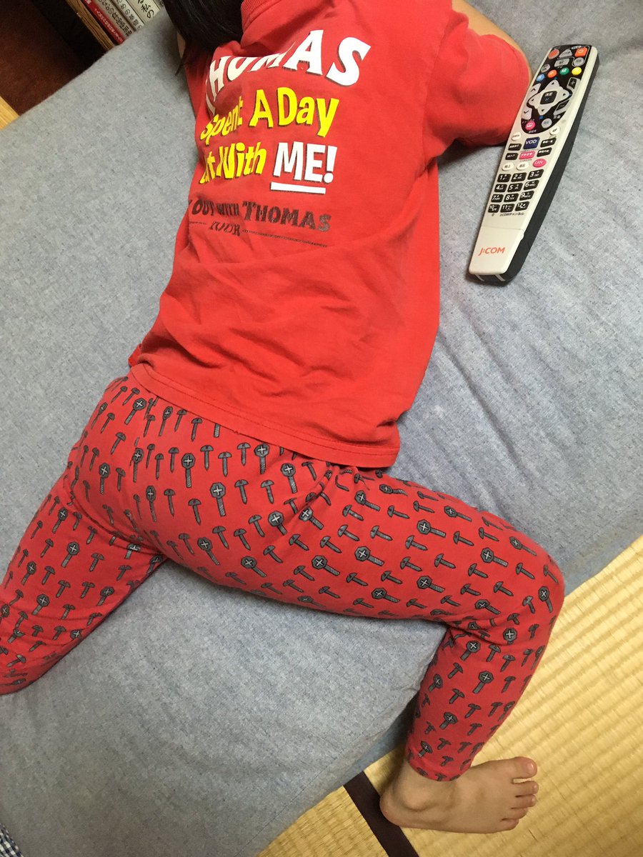 うちのかずれーさー