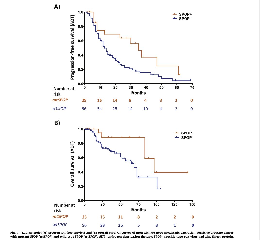 <a href="/montypal/">Sumanta K. Pal, MD, FASCO</a> <a href="/EUplatinum/">European Urology</a> <a href="/umangtalking/">Umang Swami, MD, MSCI, FASCO</a> <a href="/huntsmancancer/">Huntsman Cancer Institute</a> <a href="/EAntonarakis/">Emmanuel Antonarakis</a> <a href="/AlvaAjjai/">AjjaiAlva</a> <a href="/DrVaishampayan/">Ulka Vaishampayan</a> <a href="/OncHahn/">Andy Hahn</a> <a href="/maughanonc/">Benjamin L Maughan</a> @NeliMUlrich <a href="/DrChoueiri/">Toni Choueiri, MD</a> <a href="/PCF_Science/">PCF Science</a> <a href="/PCFnews/">Prostate Cancer Foundation</a> <a href="/TDorffOnc/">Tanya Dorff</a> <a href="/UMichUrology/">Michigan Urology</a> <a href="/hopkinskimmel/">Johns Hopkins Kimmel Cancer Center</a> <a href="/NimaSharifiMD/">Nima Sharifi</a> <a href="/chadinabhan/">chadi nabhan MD, MBA, FACP</a> <a href="/SoaresAndrey/">Andrey Soares</a> Thanks <a href="/montypal/">Sumanta K. Pal, MD, FASCO</a>  In a multivariate analysis, SPOP mutation conferred improved outcomes in men with denovo metastatic castration sensitive #prostatecancer . Wonderful collaborative effort, external validation in process. <a href="/EUplatinum/">European Urology</a>