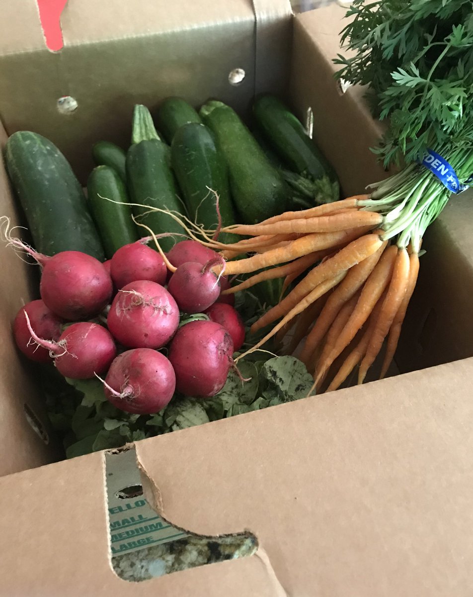 Thursday means Farm Share delivery 🥒🥬🥕🥬 #shoplocal #Farmshare #Freshfromthefarm Thank you @FusilierFarms96