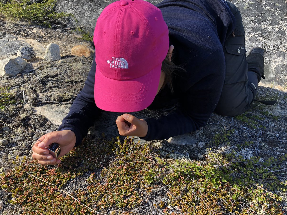 Kobbefjord Research Station tweet media