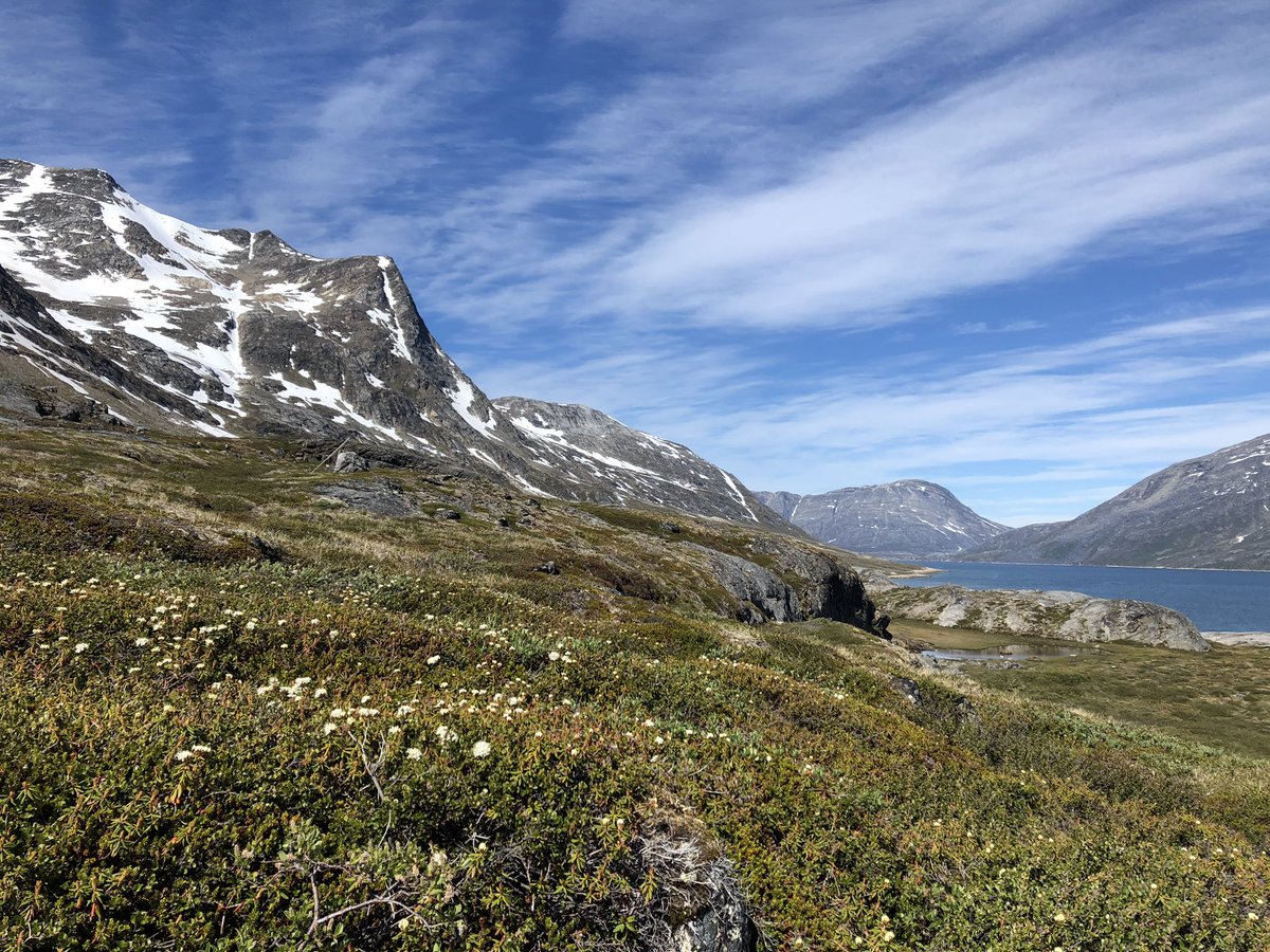 Kobbefjord Research Station tweet media