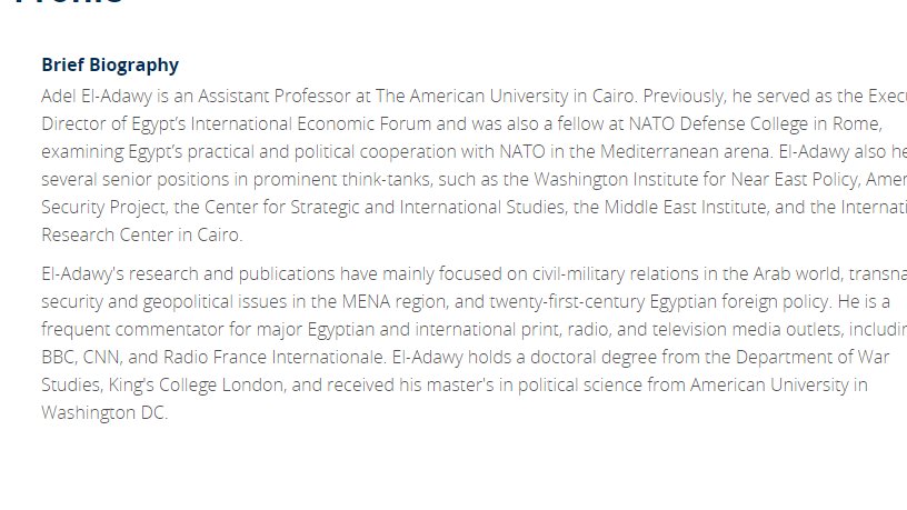 So yeah, I have a big problem with a high-profile academic targeting  @RenaNetjes or other analysts who bring up facts & who tries to stoke internal conflict in other nations. Hey,  @BBCWorld, if this guy calls reporters and your own staff liars, please don't put him on the air.