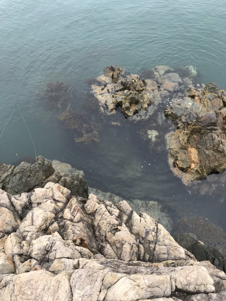 shinse25's tweet photo. 本日の海 https://t.co/rZuco87Gq8