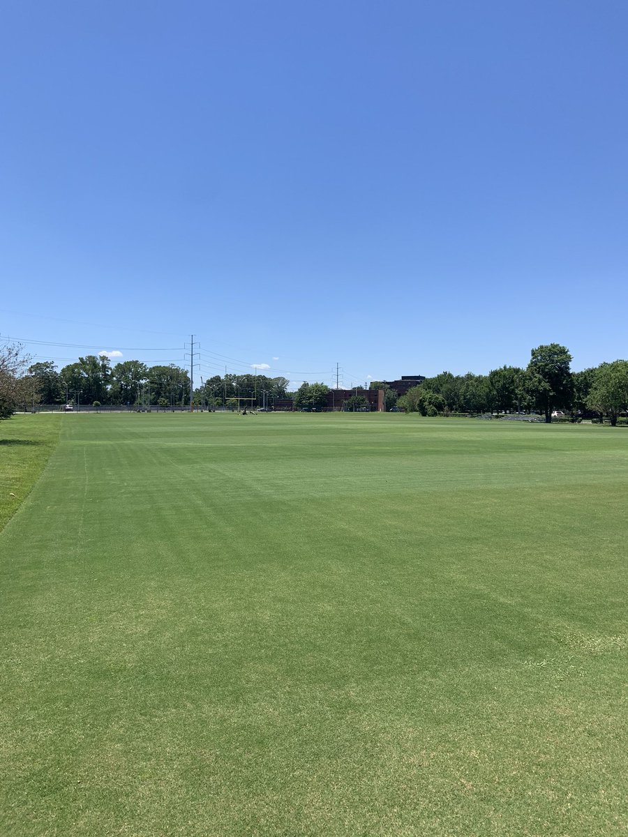 Bermuda just starting to stripe after first dose of fertilizer