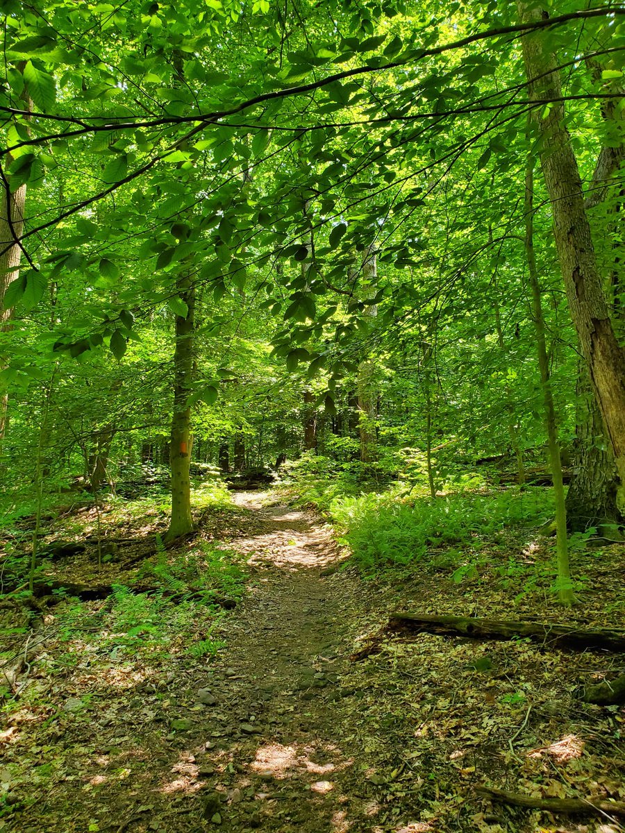 Great day to hit the trails in #FrenchCreekStatePark #hiking #hikesafely #BerksCounty