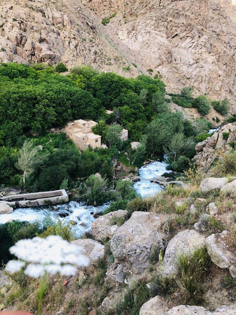 PanjshirProvin1's tweet photo. وزارت زراع�� به دهاقین #پنجشیر در سال های گذشته تعداد زیاد درخت گیلاس توزیع نموده بود، خوشبختانه در سال جاری بهترین حاصل داد، و همچنان قسمت بیشتر این حاصلات میوه به کابل رسید و به قیمت مناسب به فروش رسید.
#panjshir #afghanistan #fruet https://t.co/leGDy6zATD