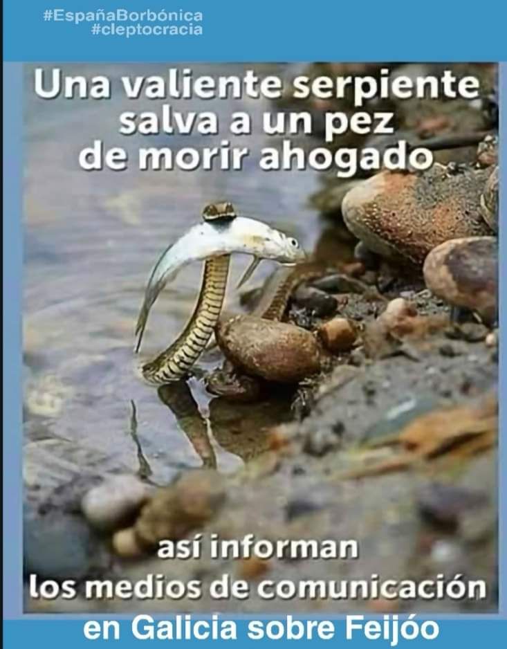 Murakills's tweet photo. Verdad Verdadera #ppnuncamais #fakexoo https://t.co/GKVYfUJdFm