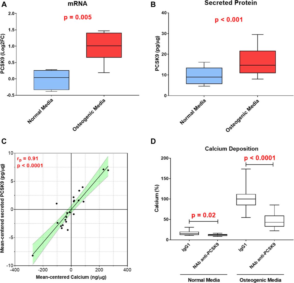 In vitro, human valvular interstitial cells submitted to a pro-osteogenic milieu expressed and secreted PCSK9. Inhibition of extracellular PCSK9 (with an antibody) was able to significantly reduce the calcium deposition both in normal medium, suggested a systemic and local effect