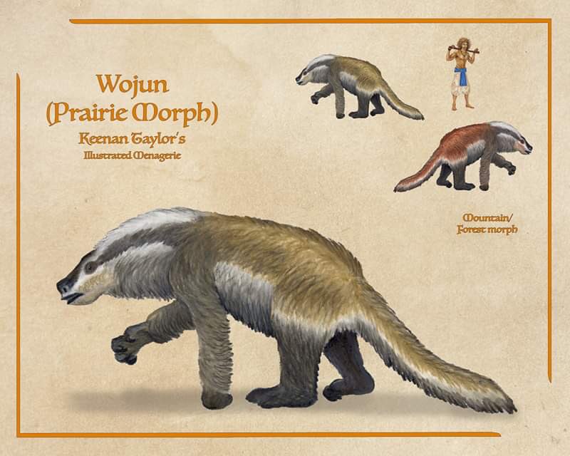 TalesofKaimere's tweet photo. A quick photoshop edit brings us the prairie morph of the wojun, or ‘mountain bear’ as the merchants of the Free-States call them.

#talesofkaimere #sloth #prairie #shastagroundsloth #animal #creaturedesign #nature #paleoart https://t.co/nBGBaKYJPB