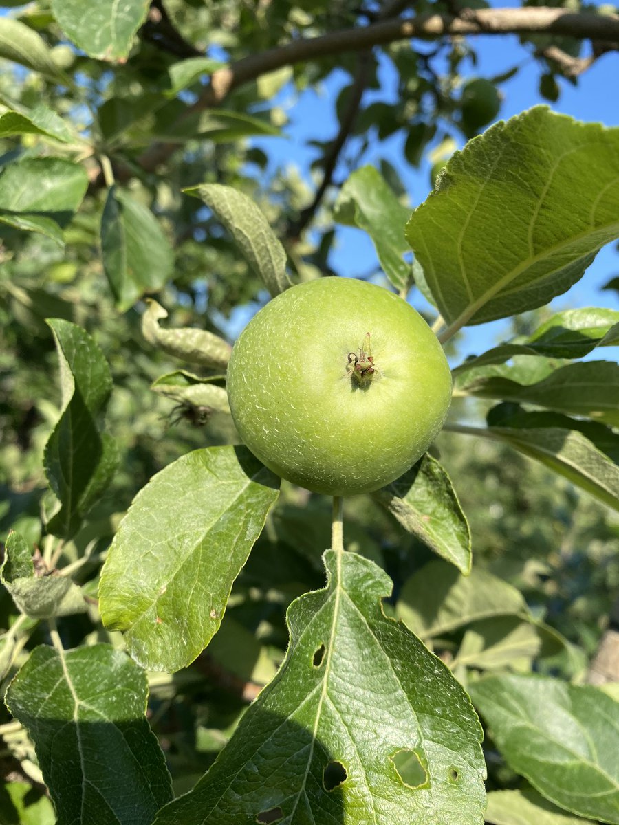 Amanda Dooney tweet media