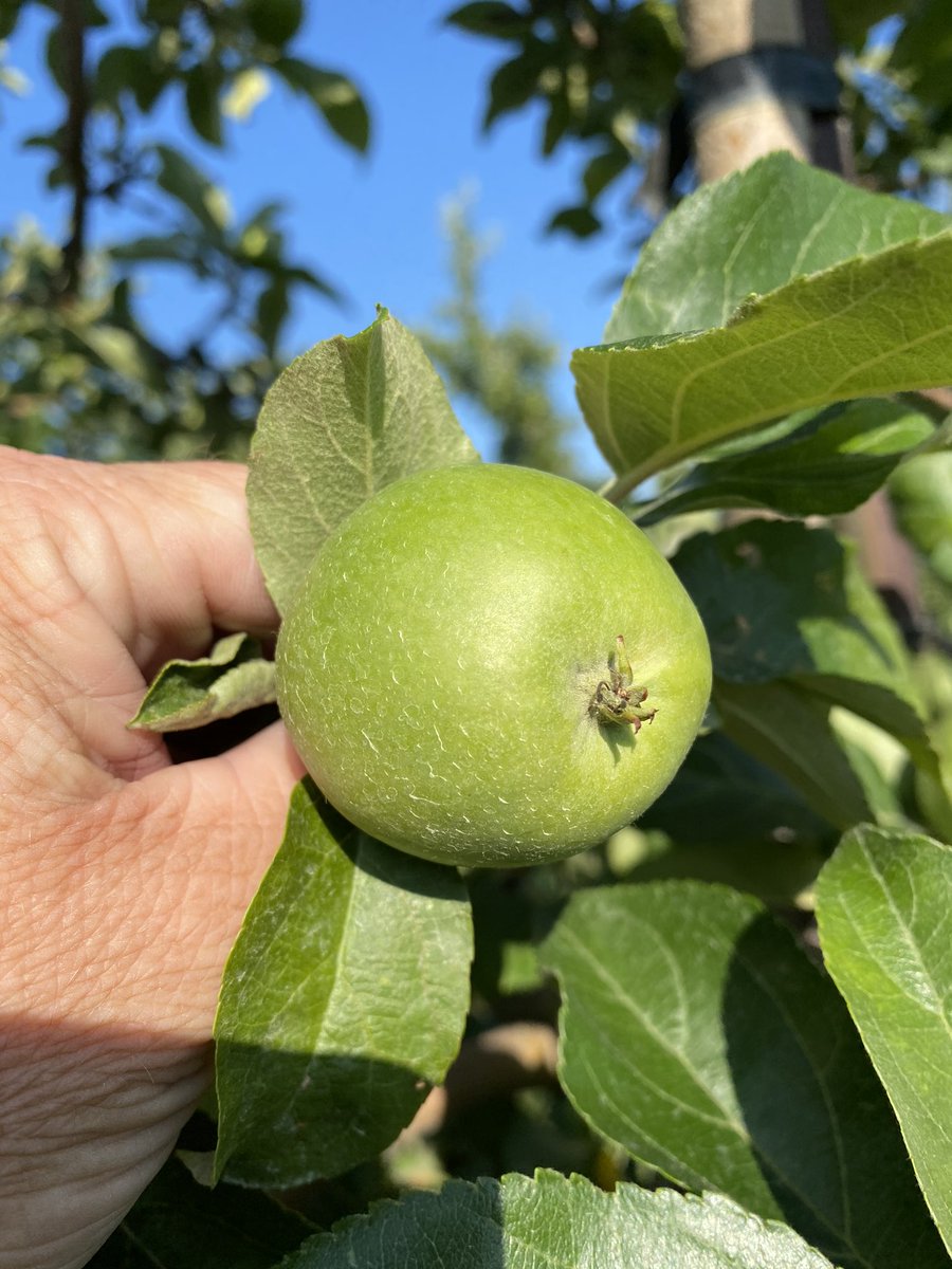 Amanda Dooney tweet media