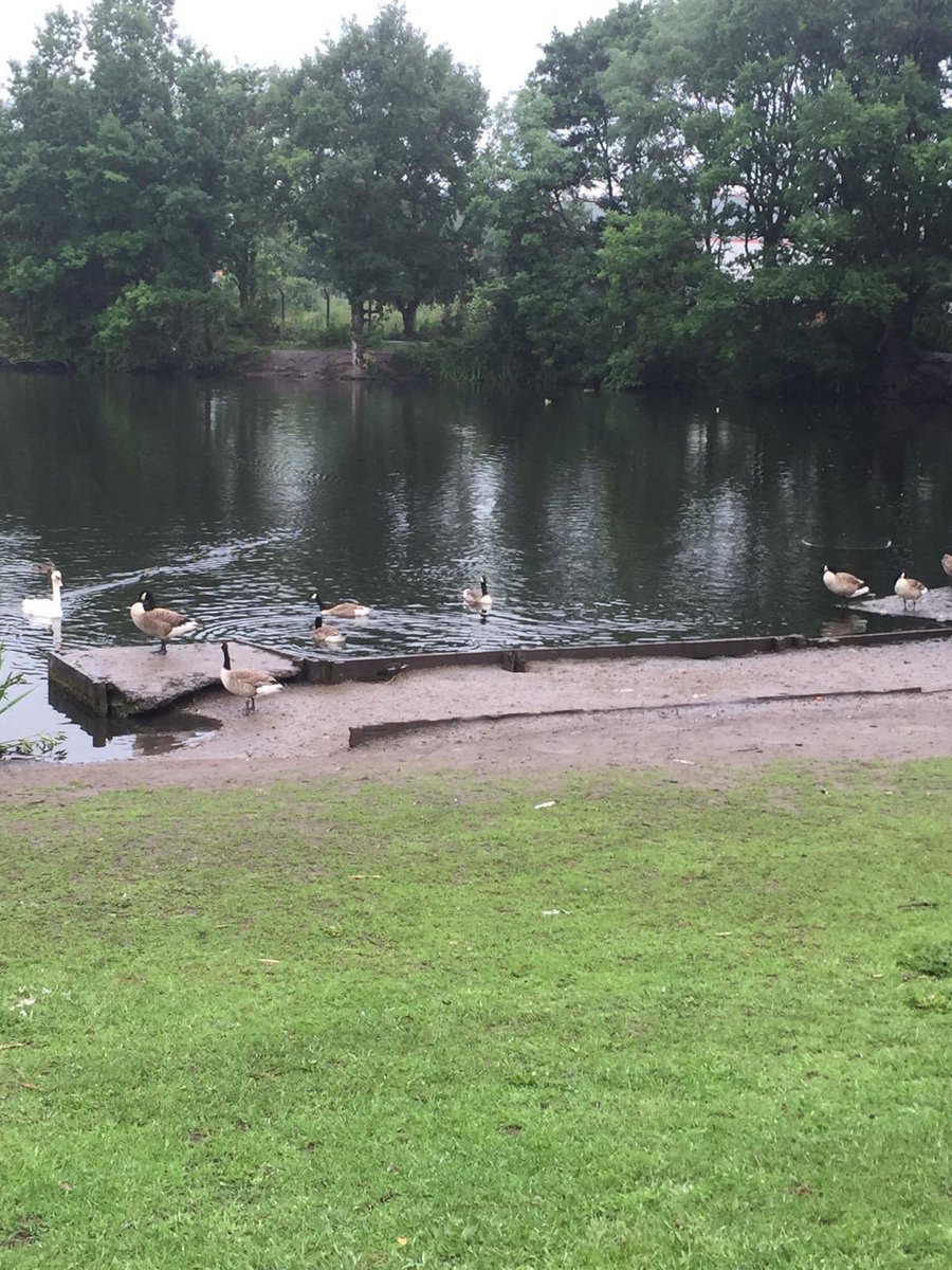 EmmsyEmma's tweet image. When this is your morning commute #communitycareassistant #parklife