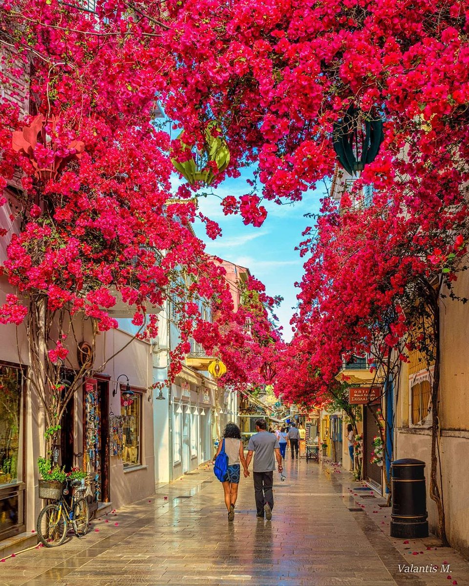 #loveisintheair #nafplio the #heartshape #bougamvillea #peloponesse Available as #print or digital copy on valantism.gr for more travel Inspiration follow also my ig account instagram.com/minogiannisval… !!! #photography #greece