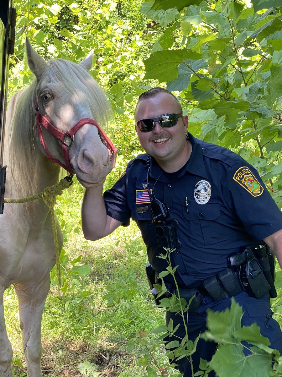 MPDASHIFT's tweet image. Officers checked the well fare of this beautiful guy today that is visiting the beautiful City of Martinsville! 🐎 🐴