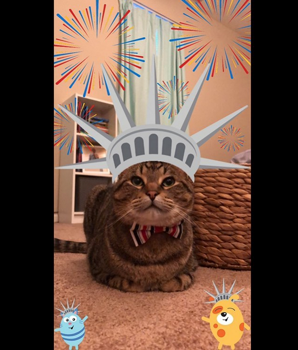 NationwidePet's tweet photo. Hooray! Join us in congratulating another #JulyFURthContest winner. https://t.co/WyOYQJvMBn