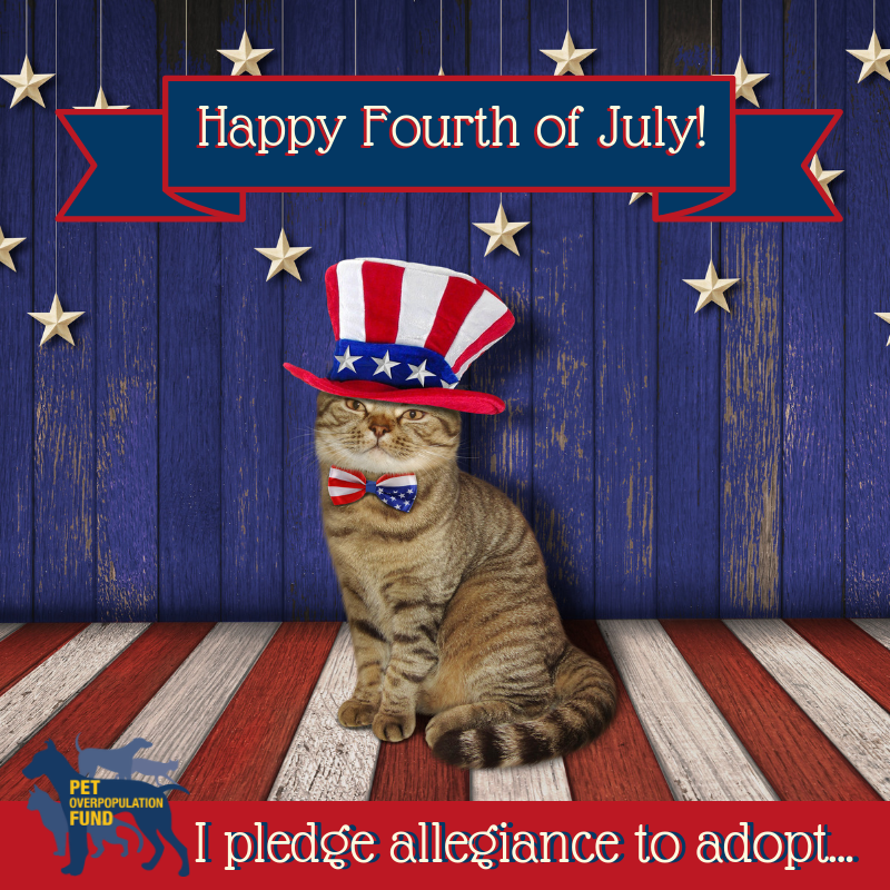 Wishing you a happy and safe Fourth of July! Don't forget to check with your local animal shelter or rescue if you are looking to add a furry pal to your family this holiday weekend.
#AdoptDontShop #FourthofJuly #Fireworks #COLovesPets