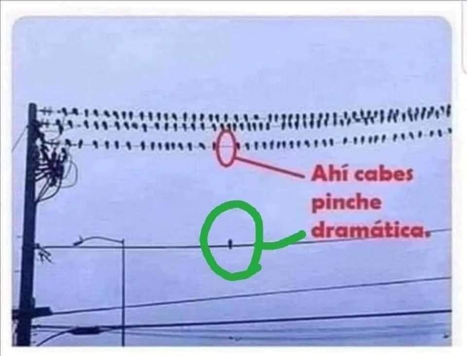 dguligar's tweet photo. Cuántos de aquí son #TeamDramatico 🤣🤣 https://t.co/9i8BvQvEbZ