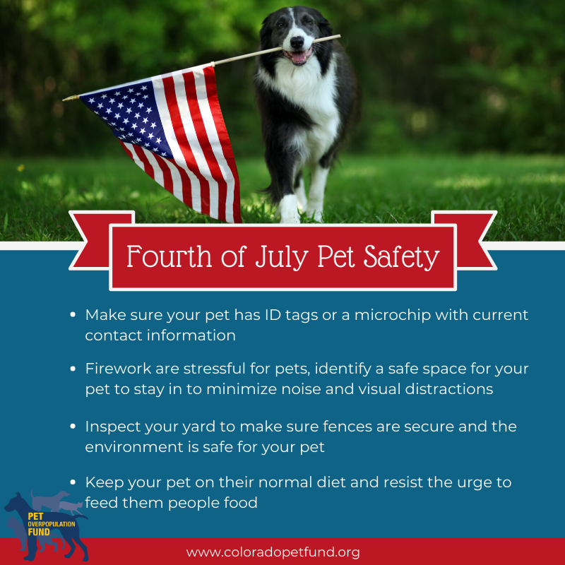 Happy Independence Day! Check out the pet safety tips below to ensure that your furry friends can enjoy the Fourth of July too!
#FourthofJuly #Fireworks #COLovesPets