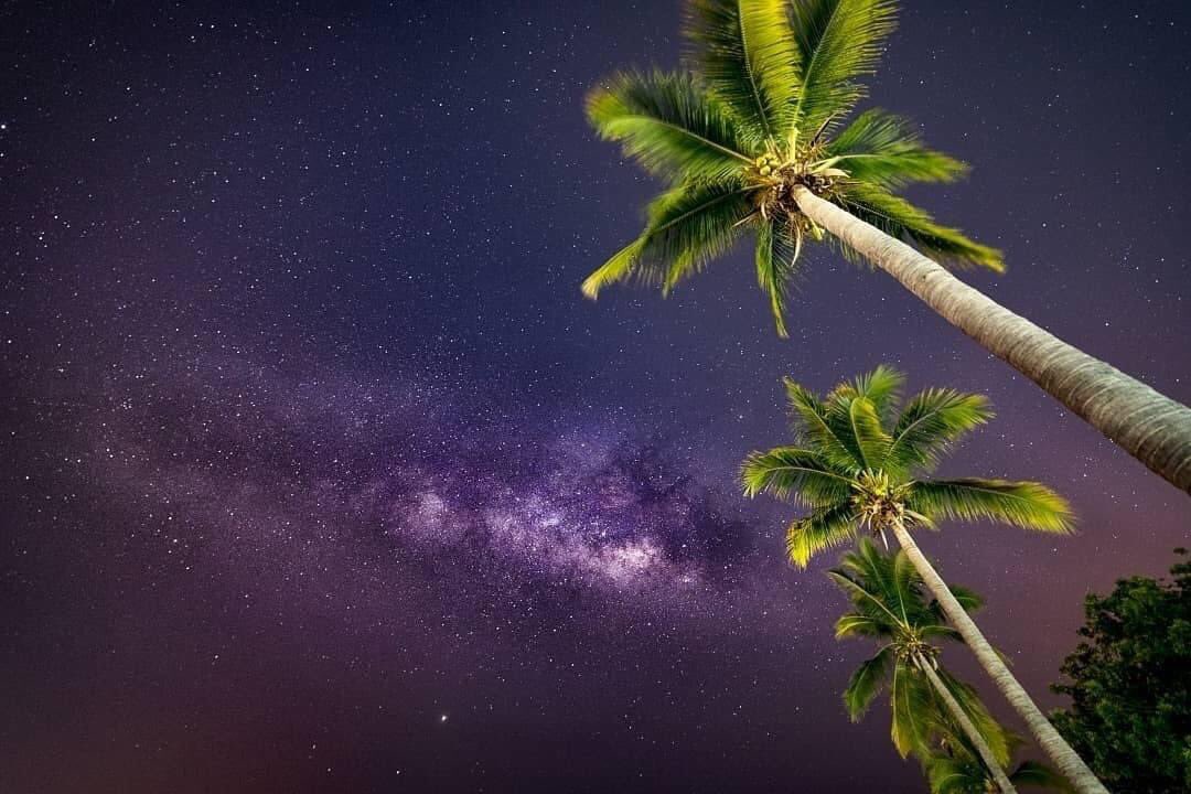 Memotecnia_'s tweet image. Vía láctea en bahía de Chahué, #Huatulco #Oaxaca. 

📷: Redes Sociales.