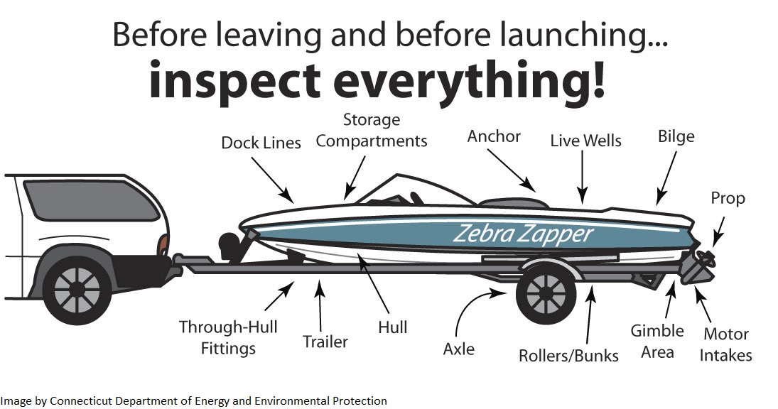 NYSDEC's tweet photo. Getting out on the water this #FourthOfJuly wknd? Make sure you #CleanDrainDry boats & gear to help protect #NY & the #GreatLakes from aquatic invasive species.
It’s easy—see how at https://t.co/R3ng9MNWy0 #GLAISBlitz #CleanBoatsCleanWaters
Pic: @ADK_Watershed & @CTDEEPNews https://t.co/NucMvYMFB3