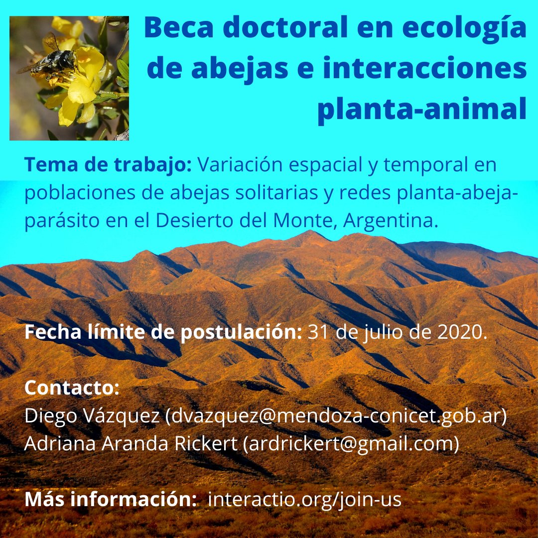 Beca doctoral para trabajar en ecología de abejas y redes planta-abeja-parásito a lo largo de 2000 km en el bioma del Monte, en el marco de un proyecto colaborativo con un grupo excelente de colegas. Postulaciones hasta el 31/7. Más info: interactio.org/2020/06/29/bec…