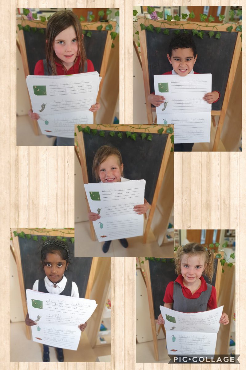 BG_Hedgehogs's tweet photo. Absolutely AMAZED by the hard work these Hedgehogs have put into their writing this week! ๐ฆ #ThriveWithHope https://t.co/HRNZoMVH7O
