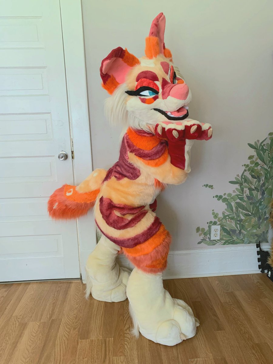 FurBakery's tweet photo. Feelin like and absolute BEAN 
Mango is complete! I'm so happy with my gal! Two years of "wanting to make a suit of her" finally came to fruition! https://t.co/oCI8t8JBaR