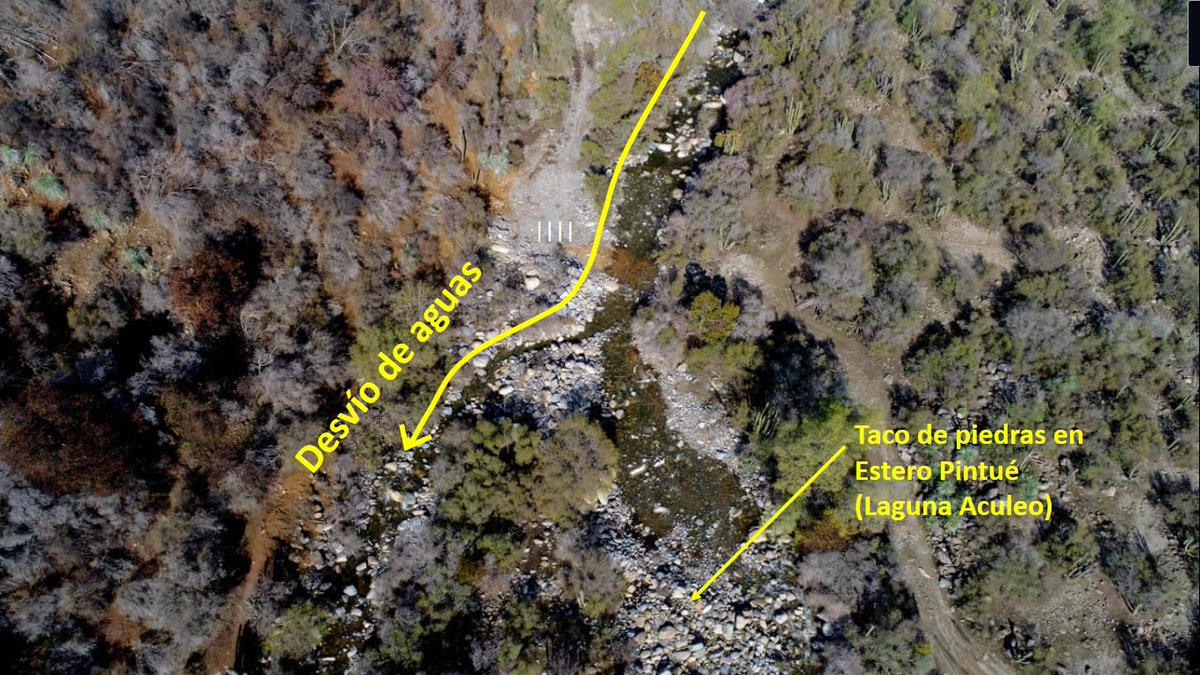 #AuxilioACULEO Se están robando el agua, desvíos del estero Pintué que llega a la Laguna Aculeo. (Foto de hoy). Favor difundir para que se sepa el por qué no ha llegado una gota de agua a la Laguna.