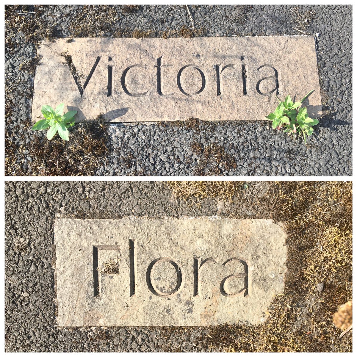 More Maryhill names today. These are on the pathway by the canal at Kelvin Dock, where Swan & Co built boats from the 1840s to the 1940s. Some had female names. Not sure who Flora was called after (MacDonald?) , but I bet I know who Victoria was!  #WomenMakeHistory  @womenslibrary