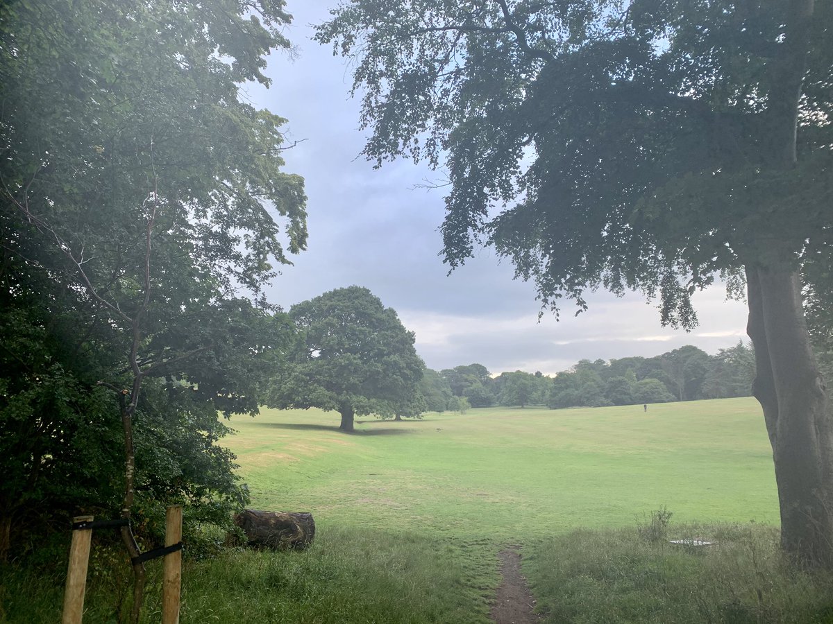 elamcsorley's tweet photo. Day 2 #arksportsdaychallenge 8km run - sun came out 100m from home 😂 @ArkVicAcademy @ArkSchools #notfastbutfurious #Resilient #ambitious https://t.co/m2ZHg8lyuq