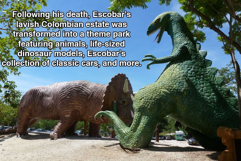 Advert-Active 6k Viral instagram account with international audience for sale. HMU if you are interested.