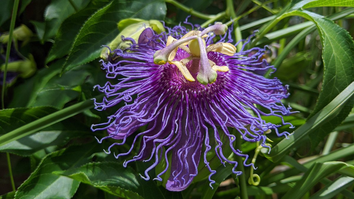 Eric Tobin 🏳️‍🌈 tweet media