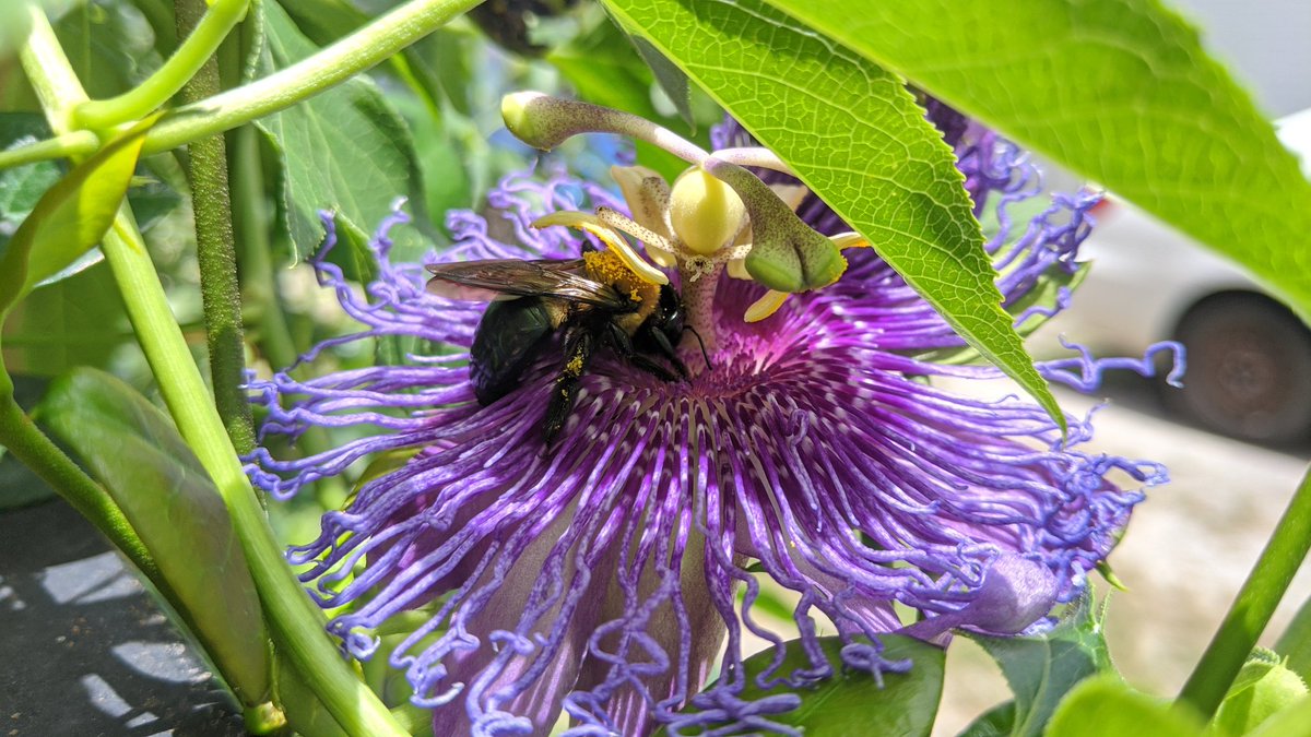 Eric Tobin 🏳️‍🌈 tweet media