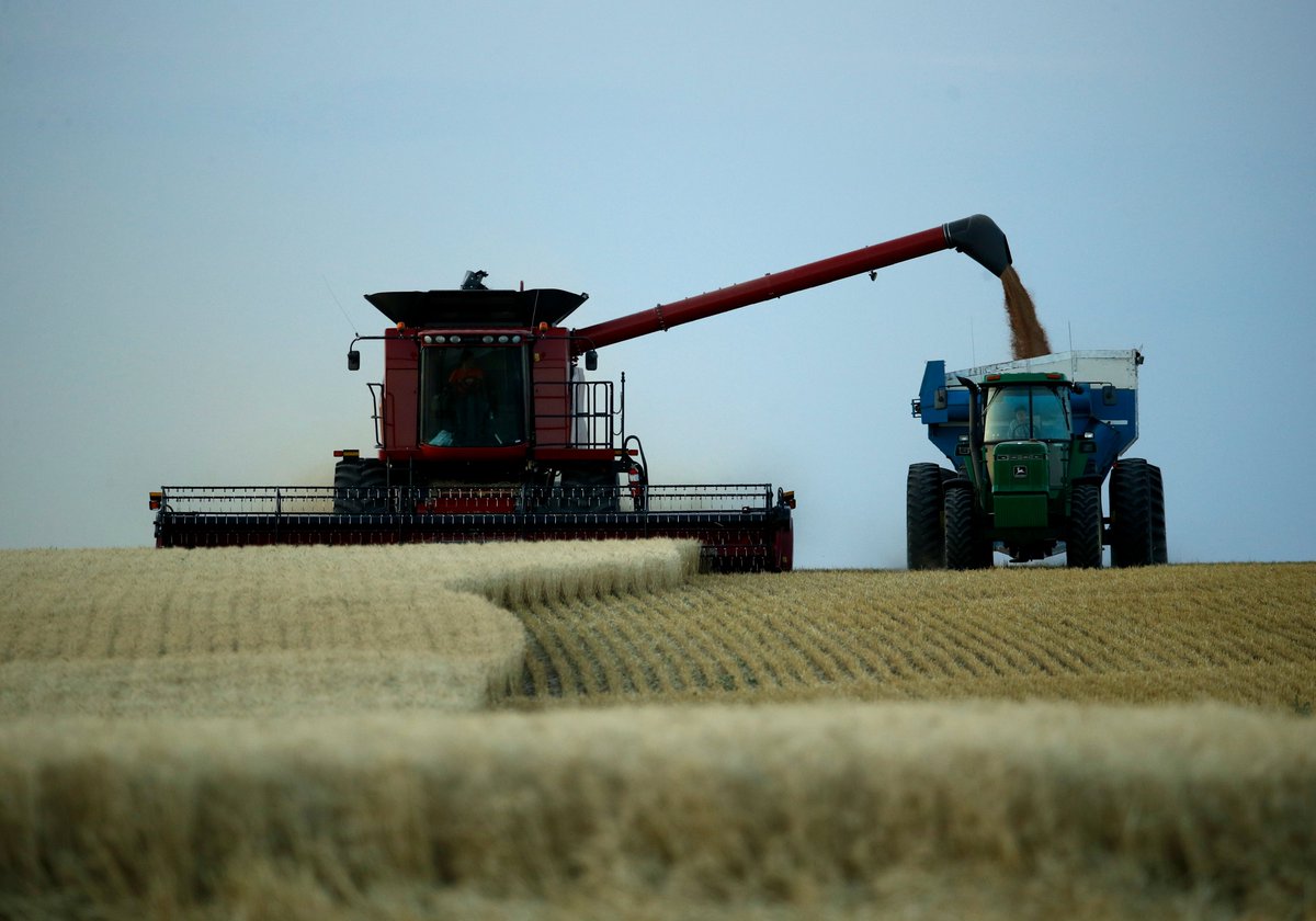 ajplus's tweet photo. U.S. farmers say they're struggling to find reliable workers — which may delay wheat harvests and make food prices go up.

Immigrants and foreign seasonal workers make up the bulk of farm workers (and ~50% are undocumented), but many are now shut out by lockdowns and visa delays. https://t.co/lcLmJ59JOb