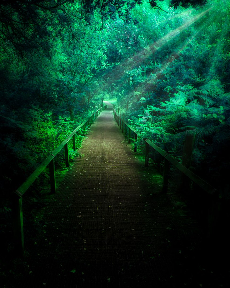 legit_wizard's tweet photo. My life is shaped by the urgent need to wander and observe, and my camera is my passport.
#darkphotography
#darkphoto
#darktrees
#renegade_dark
#soul_hunters
#the_mirror_of_our_souls
#somber_moods
#moody_tones
#moody_captures
#raw_moody
#rawphotography
#sky_brilliance https://t.co/6qNiDghqO6