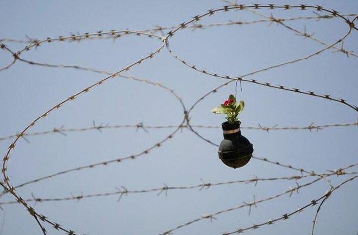 Bu dünya Filistin'li bir kadının İsrail'in gaz bombalarında çiçek yetiştirdiği bir dünya yahu,burası bu kadar işte!