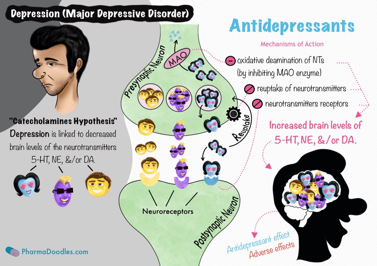 Antidepressants Mechanisms of Action pharmadoodles.com/antidepressant… 
#antidepressants #depression #pharmacology #pharmacy #pharmacystudents #pharmacynotes