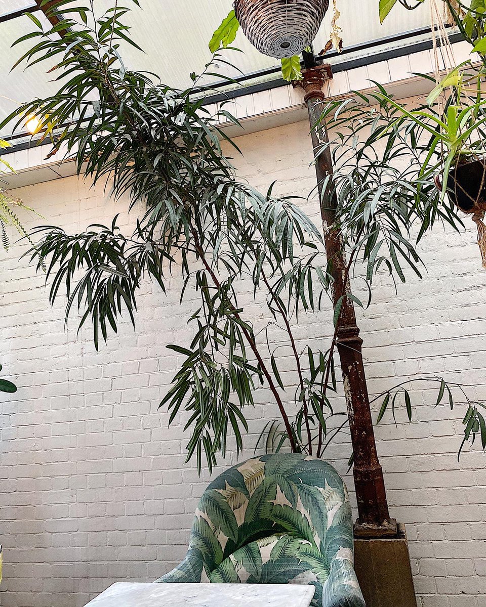 The last place I went to before lockdown was Bourne & Hollingsworth Buildings for my birthday brunch I actually booked the wrong place but it was soo cute & the pancakes were 