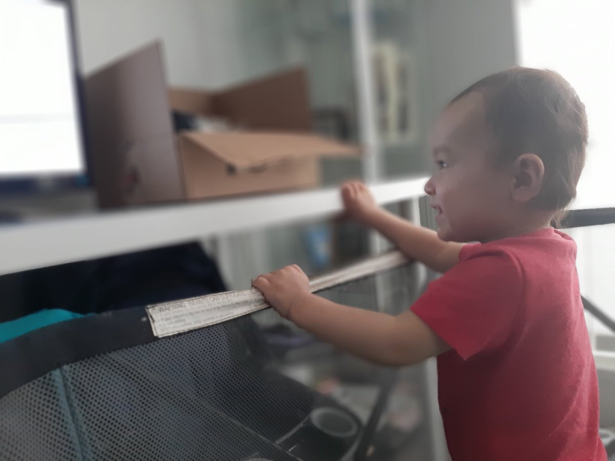 Fred_Butt's tweet photo. Baby Fred https://t.co/6gibA42ctK