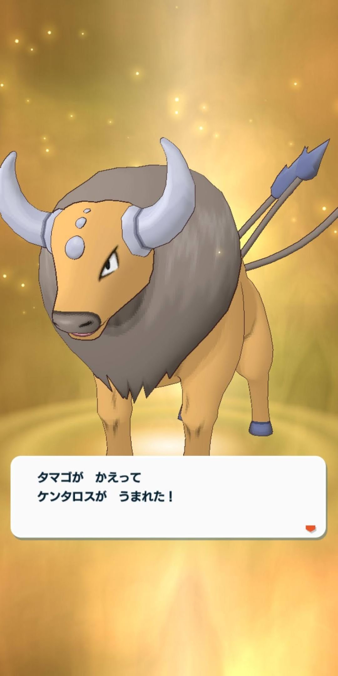 ゆーり 8個目のタマゴは ズバット これで現時点のタマゴ全種類ゲット 色違い除く ズバットはスピード型イメージだから遅いと不思議 でもバランスは良い 9個目のタマゴから来た ズバット2はスピード型だけど 弱い W 10個目のタマゴ