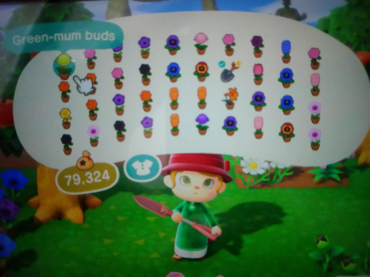 thepodston's tweet photo. Looking to sell all 39 hybrid flowers in one go, looking for 5 nmt or make an offer.

#AnimalCrossingNewHorizons #ACNHTRADE #ACNH #dodocode https://t.co/f60mWUDbGp