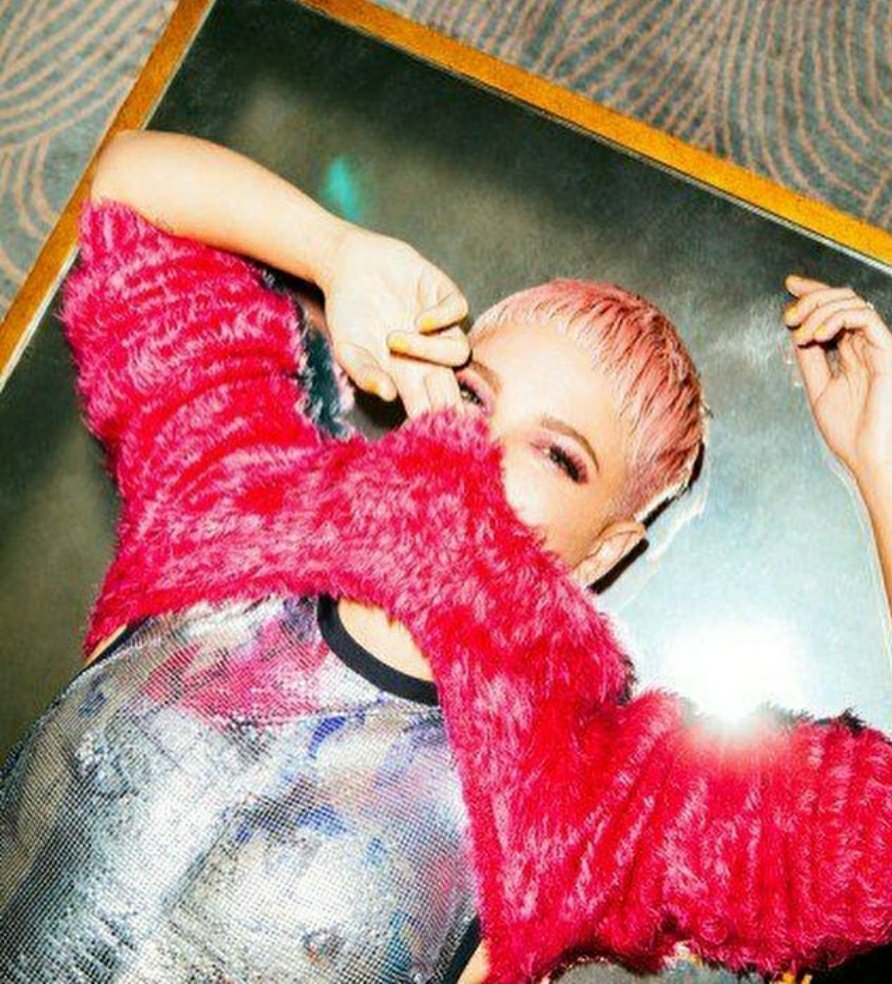 here we go- celebs as sex toys: halsey edition https://twitter.com/mediumwetdog/status/1278544150309339136