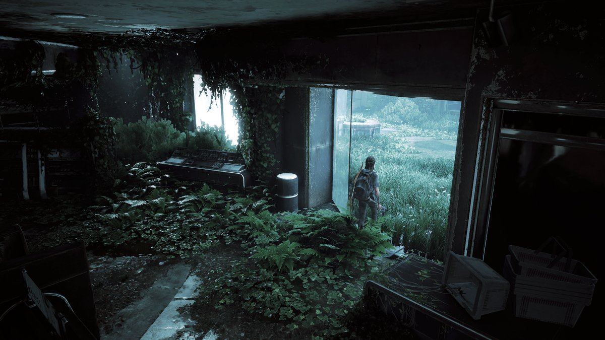 Green // The Last of Us 2 (PS4 photo mode)