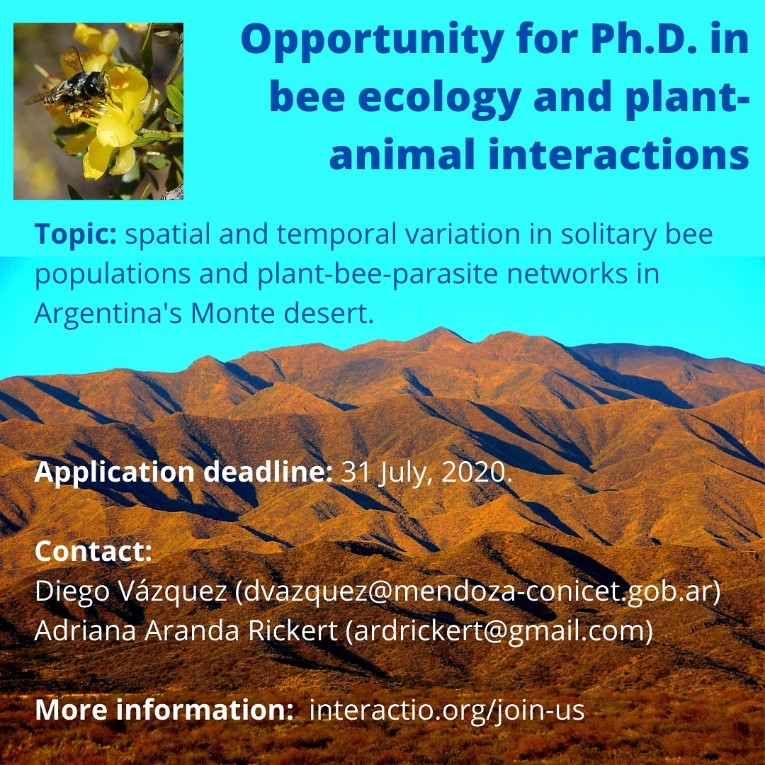 Ph.D opportunity to work on bee ecology and plant-bee-parasite networks throughout 2000 km in Argentina's Monte Desert, as part of a collaborative project with a great group of colleagues. Application open until July 31. More info: interactio.org/2020/06/29/bec…
#PhD #phdfellowship