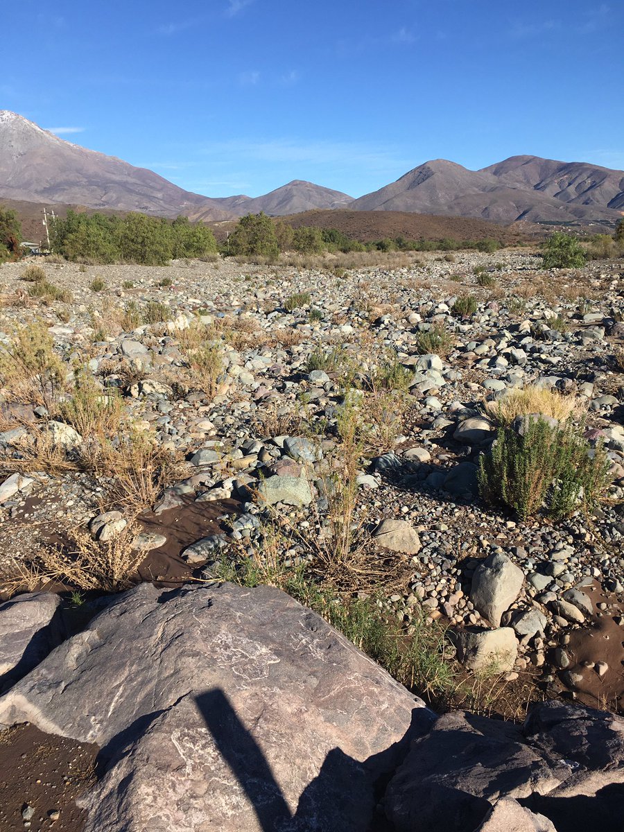 rmunda's tweet photo. Este es el río Petorca a la altura del badén de calle larga donde el agua ya se perdió......@ModatimaPetorca @docenteraquel @Loretsz @inddhh https://t.co/n1ALjQQsrG